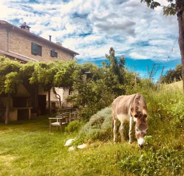 B&B Luna e Stelle Premilcuore Exterior foto
